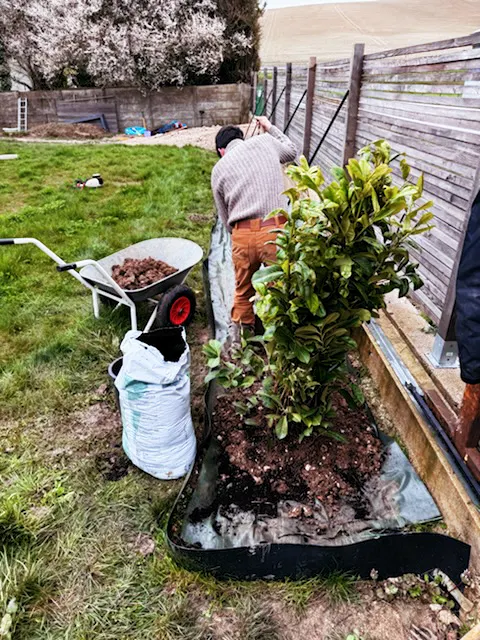 Image de reprétation de Remi Maudier paysagiste dans votre Jardin