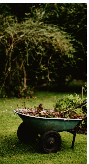 Image représentant une bouettte avec des herbes désherbé dedans