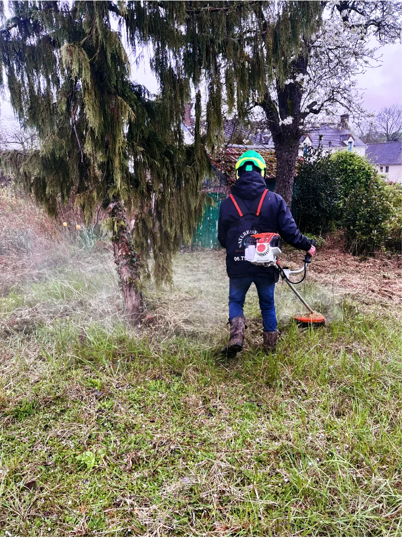 Image de reprétation de Remi Maudier paysagiste dans votre Jardin