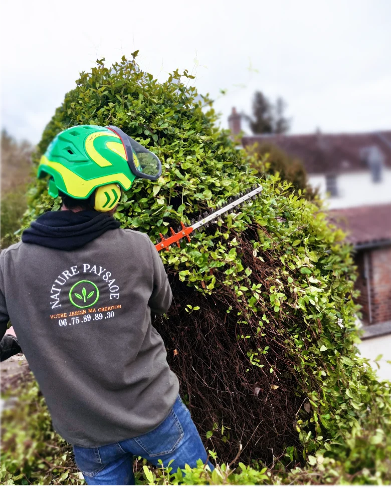 Image de reprétation de Remi Maudier paysagiste dans votre Jardin